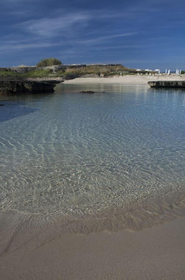 Vacanze In Puglia ペッツェ・ディ・グレーコ エクステリア 写真